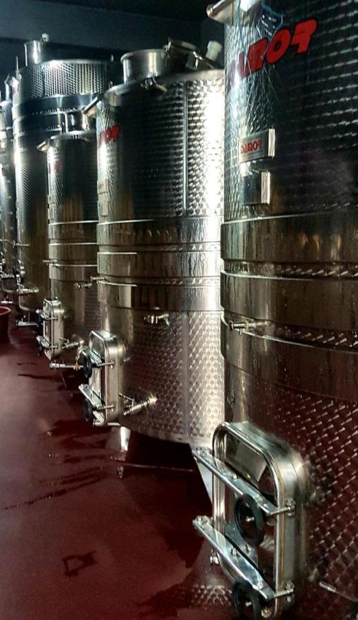 Wine Hotel Cesarica Međugorje Exterior foto